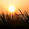 Sunset. Nothing to do with carets, or jQuery. This image is about my mood right now.